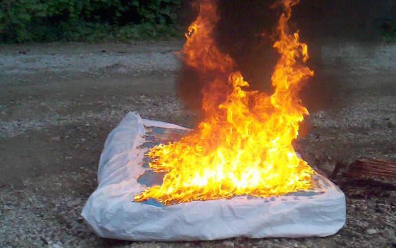 What to Do If You Have Bed Bugs 