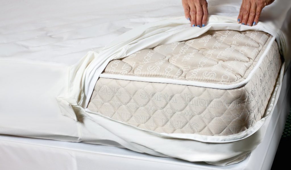 How to Get Rid of Bed Bugs in Mattress