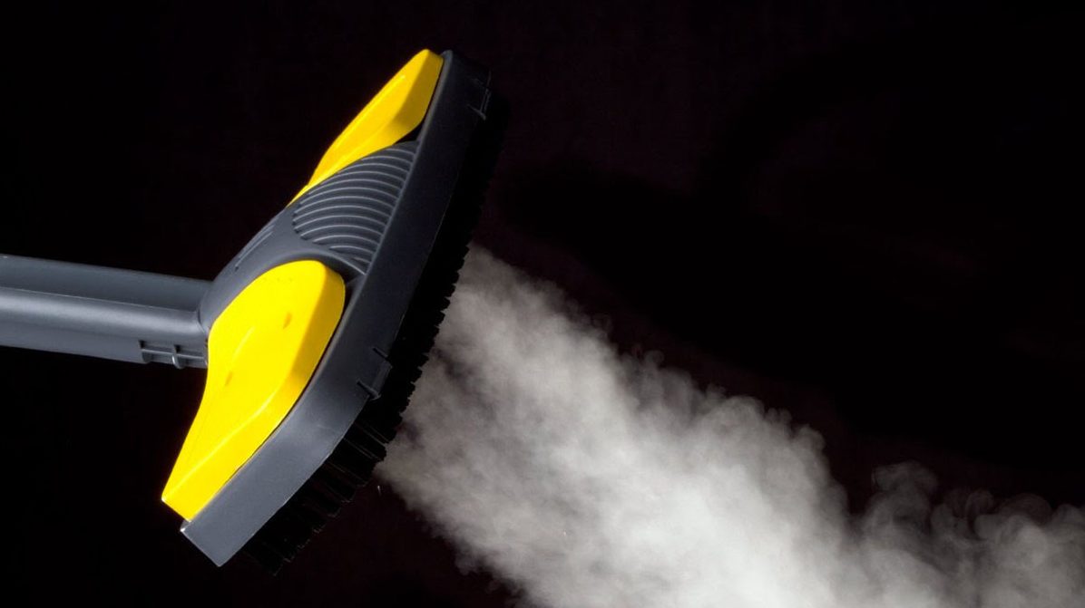 best steamer to kill bed bugs