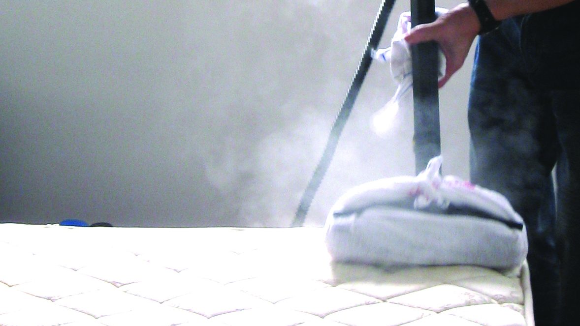 what kills bed bugs and what doesn't work