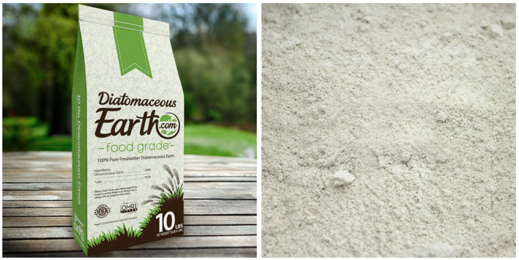 how to keep roaches away