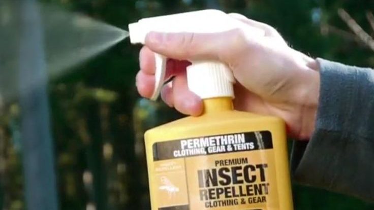 how to keep ticks away