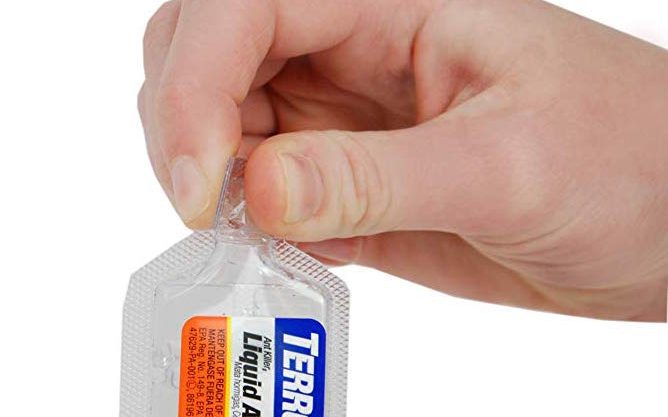 pet friendly ant killer