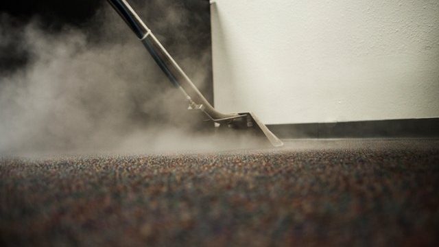 How to Get Rid of Fleas in Carpet